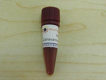 L-Canavanine (iNOS抑制剂)